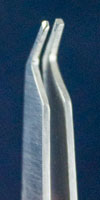Orthodontic Instrument - bracket holder tweezer tips closeup image