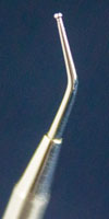 Orthodontic Instrument - composite remover image